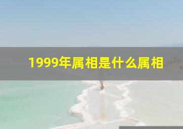 1999年属相是什么属相