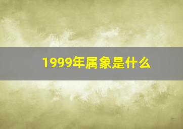 1999年属象是什么