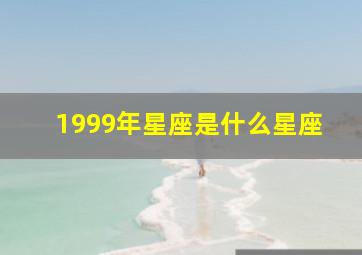 1999年星座是什么星座