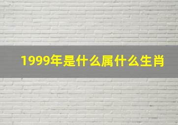 1999年是什么属什么生肖