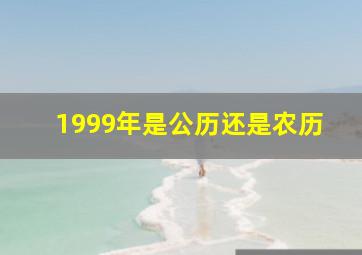 1999年是公历还是农历