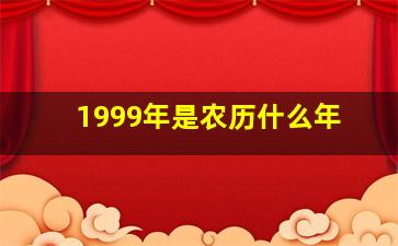 1999年是农历什么年