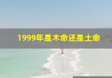 1999年是木命还是土命