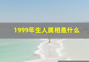 1999年生人属相是什么