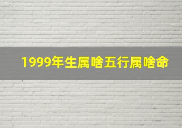 1999年生属啥五行属啥命