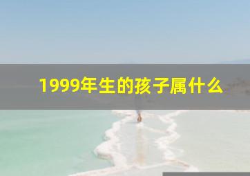 1999年生的孩子属什么