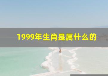 1999年生肖是属什么的