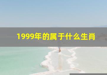 1999年的属于什么生肖