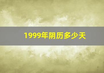 1999年阴历多少天