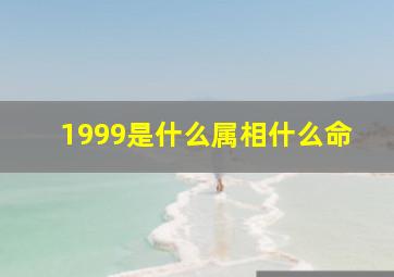 1999是什么属相什么命