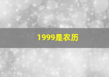 1999是农历