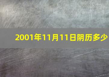 2001年11月11日阴历多少