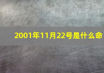 2001年11月22号是什么命