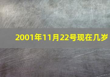 2001年11月22号现在几岁