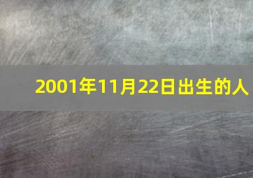 2001年11月22日出生的人