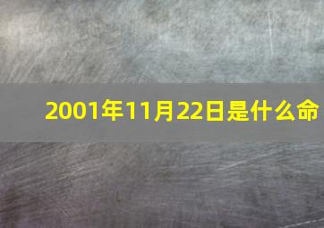 2001年11月22日是什么命