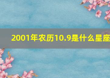 2001年农历10.9是什么星座