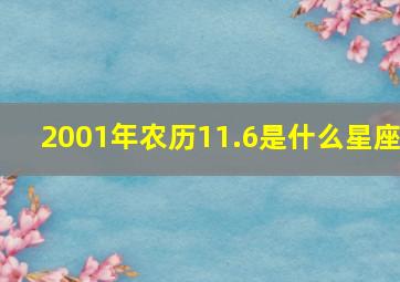 2001年农历11.6是什么星座