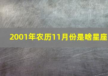 2001年农历11月份是啥星座