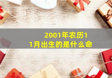 2001年农历11月出生的是什么命