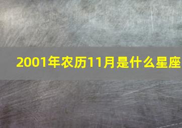 2001年农历11月是什么星座