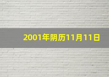 2001年阴历11月11日