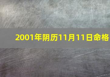 2001年阴历11月11日命格