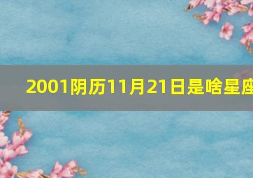 2001阴历11月21日是啥星座