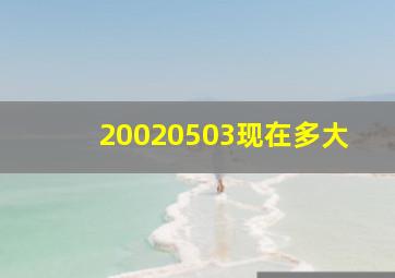 20020503现在多大