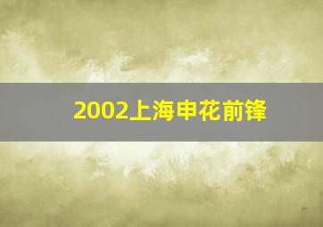 2002上海申花前锋