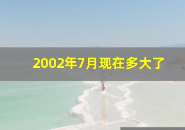 2002年7月现在多大了