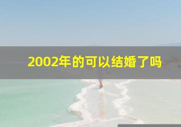 2002年的可以结婚了吗