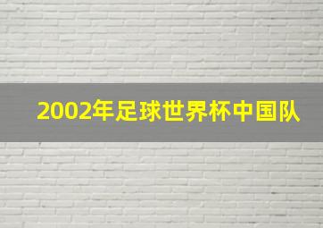 2002年足球世界杯中国队