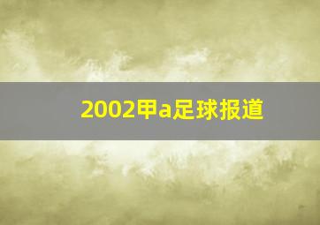 2002甲a足球报道