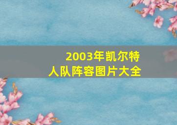 2003年凯尔特人队阵容图片大全