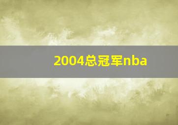 2004总冠军nba