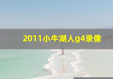 2011小牛湖人g4录像