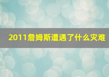 2011詹姆斯遭遇了什么灾难