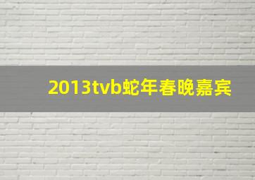 2013tvb蛇年春晚嘉宾