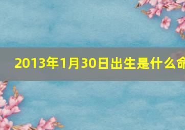 2013年1月30日出生是什么命