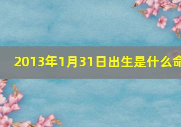 2013年1月31日出生是什么命