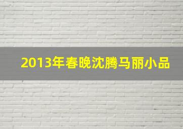 2013年春晚沈腾马丽小品