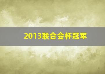 2013联合会杯冠军