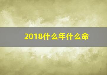 2018什么年什么命