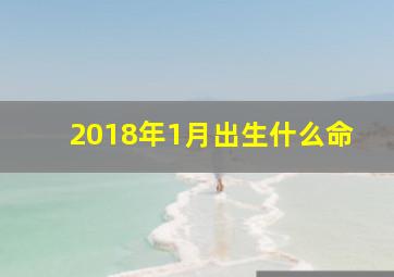 2018年1月出生什么命