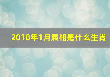 2018年1月属相是什么生肖