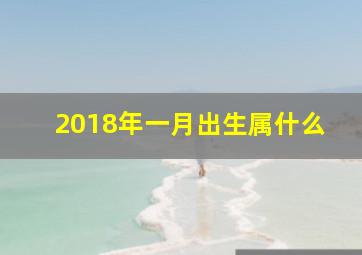 2018年一月出生属什么