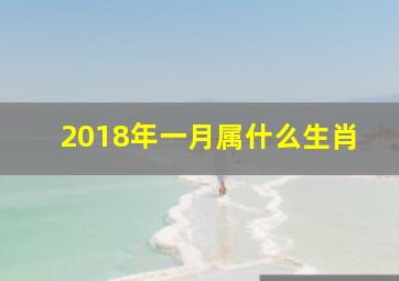 2018年一月属什么生肖