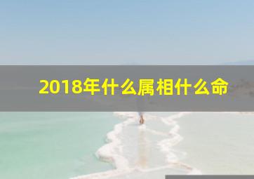 2018年什么属相什么命