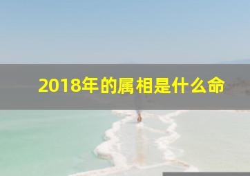 2018年的属相是什么命